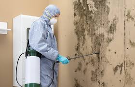 Best Mold Removal for HVAC Installations in Ellensburg, WA